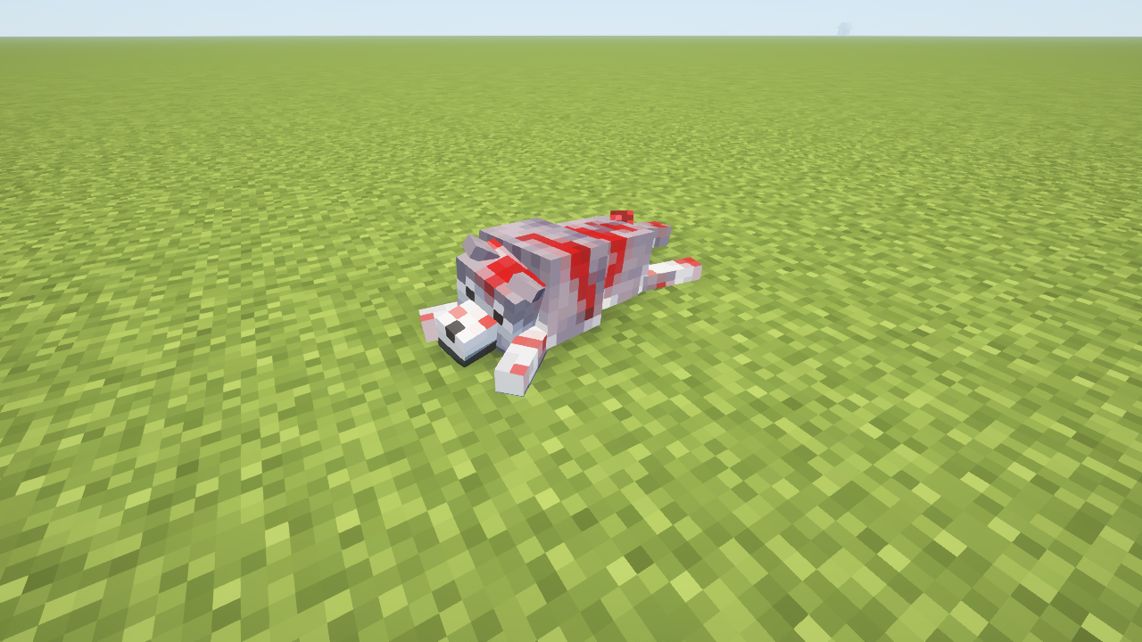 An Injured Dog An Injured Dog