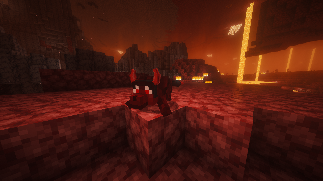 Who's a Bad Boy? You are!