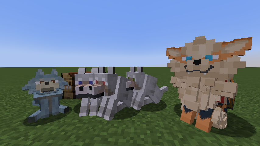 Doggy Contact Lenses Display Doggy Contact Lenses Display