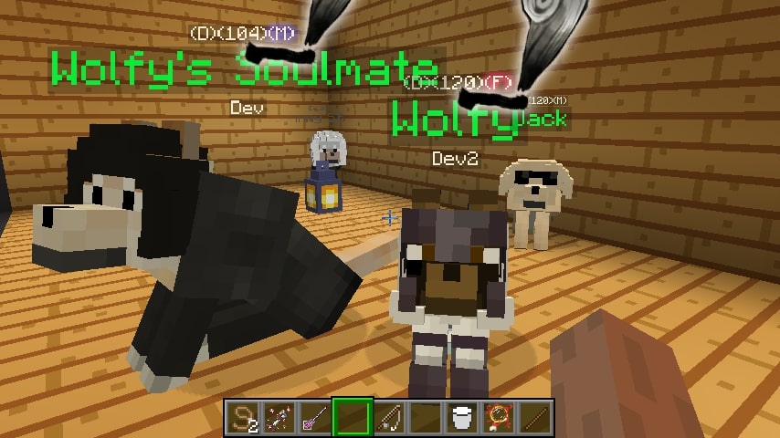 Wolfy and her Soulmate