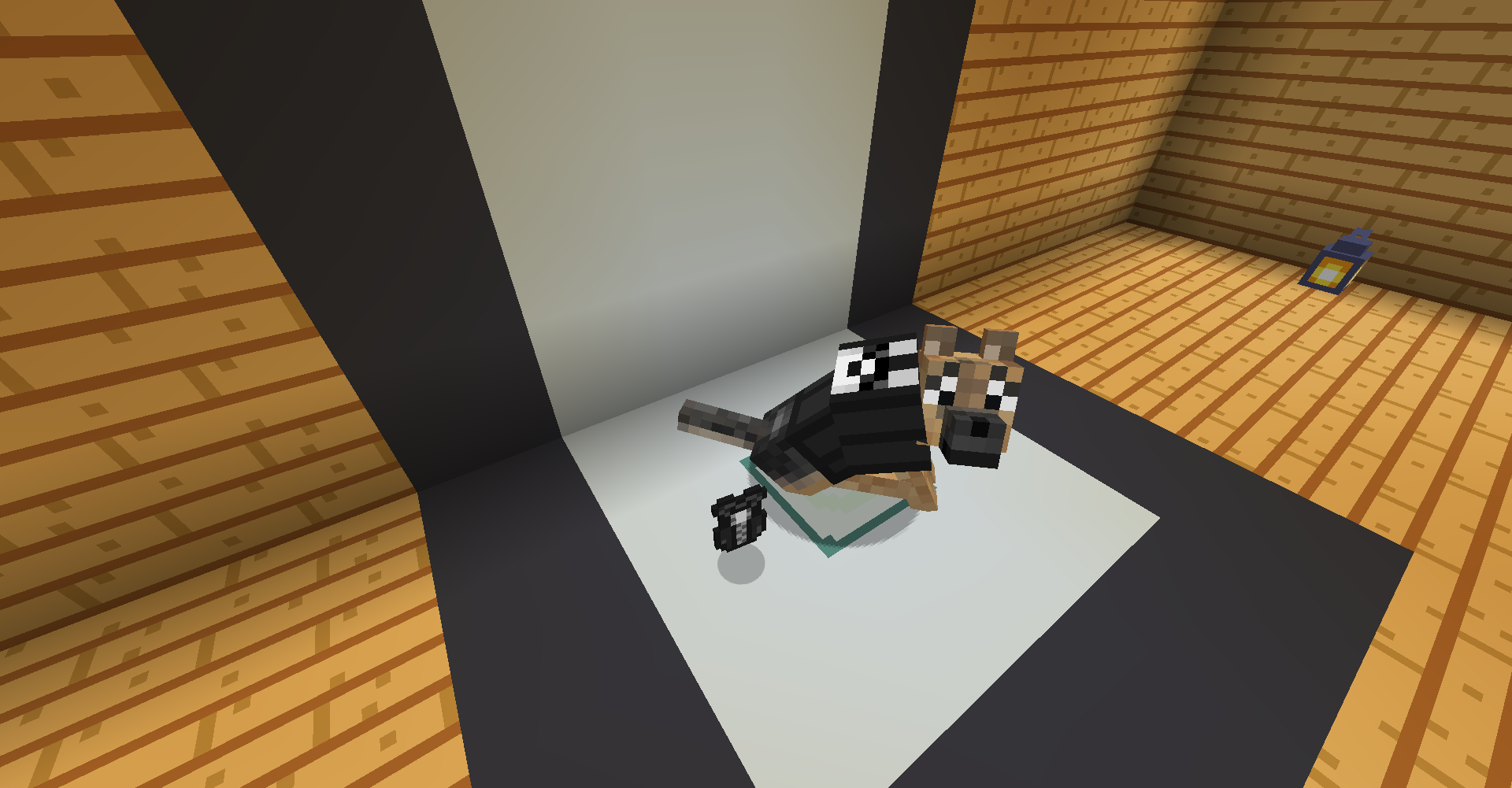 Leather Jacket Display Leather Jacket Display