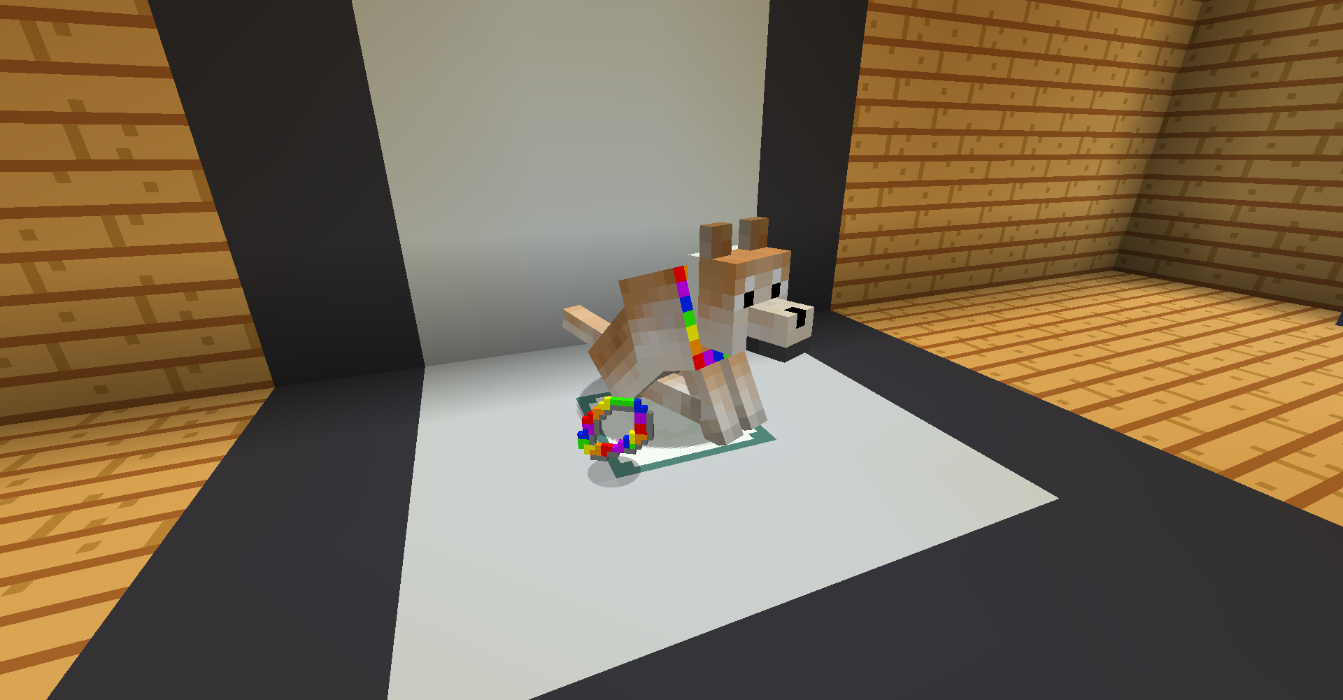 Multicoloured Collar Display Multicoloured Collar Display