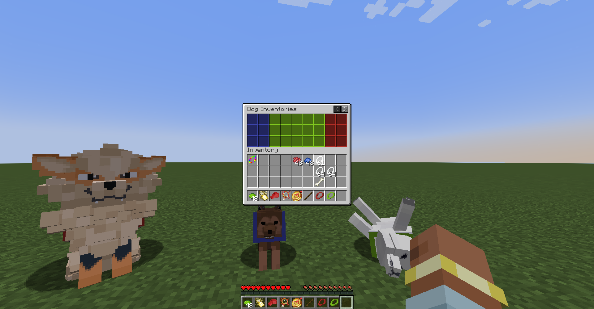 Arcanine - Kaiken - Kishu Inu Arcanine - Kaiken - Kishu Inu