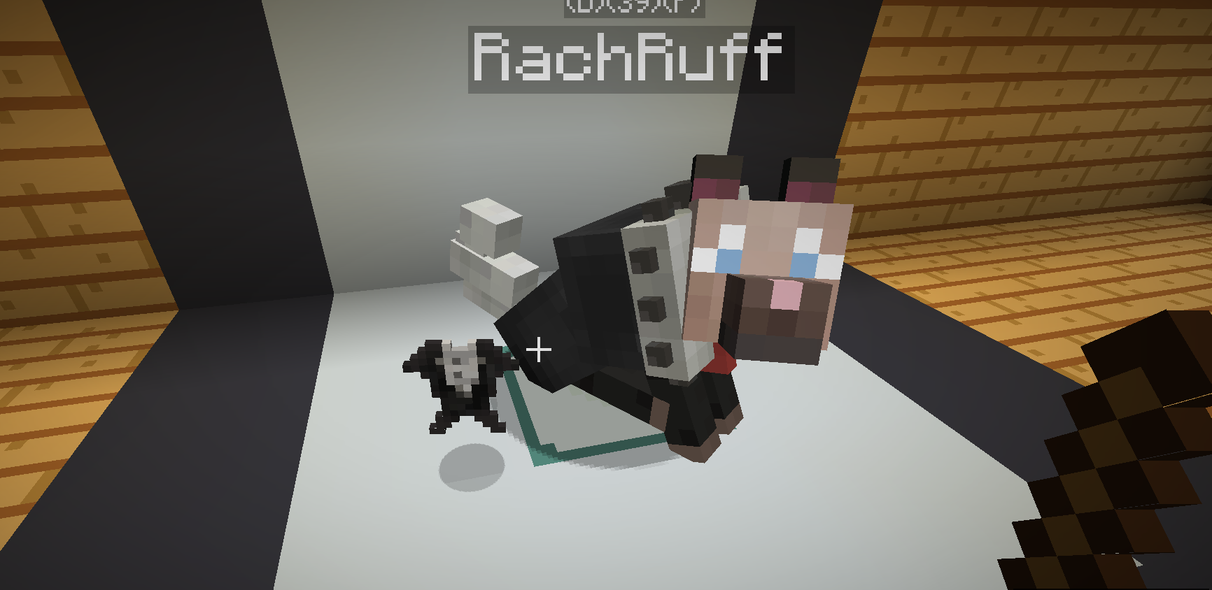 RachRuff