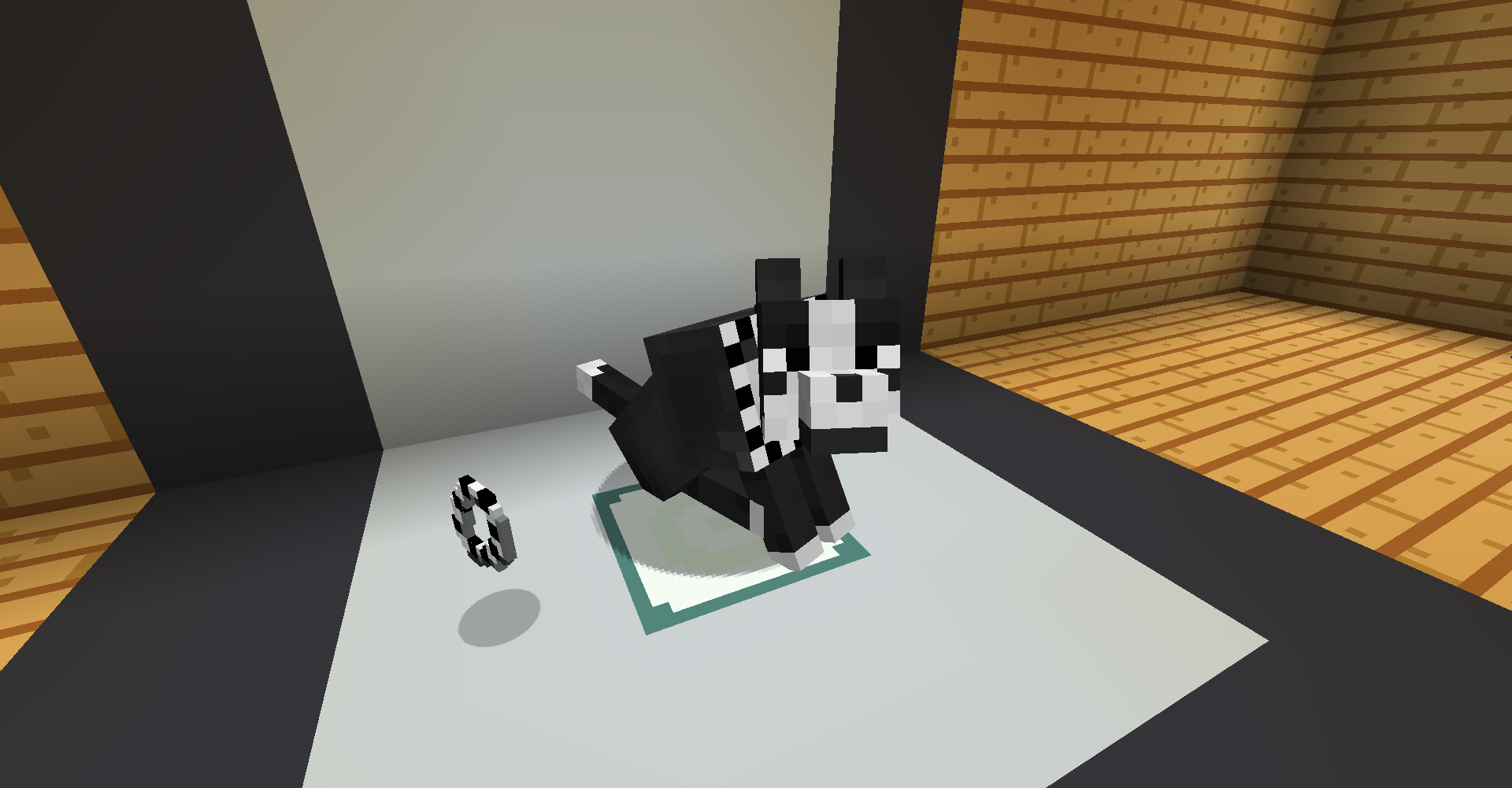 Spotted Collar Display