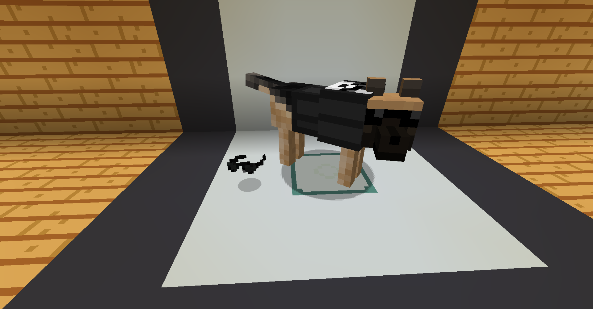 Dog Sunglasses Display