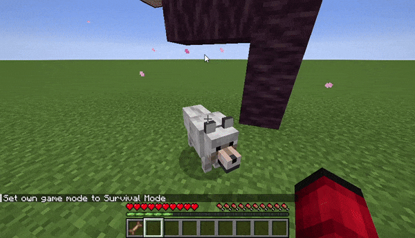 Use a Training Treat to train your first Doggo! Use a Training Treat to train your first Doggo!